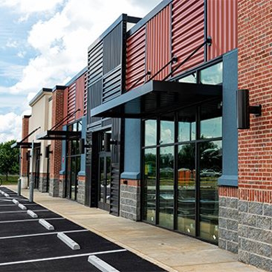 Commercial Pest Control